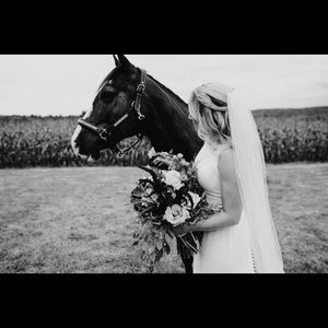 Meet your Posher, Lindsay